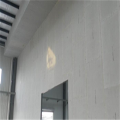路桥宁波ALC板|EPS加气板隔墙与混凝土整浇联接的实验研讨